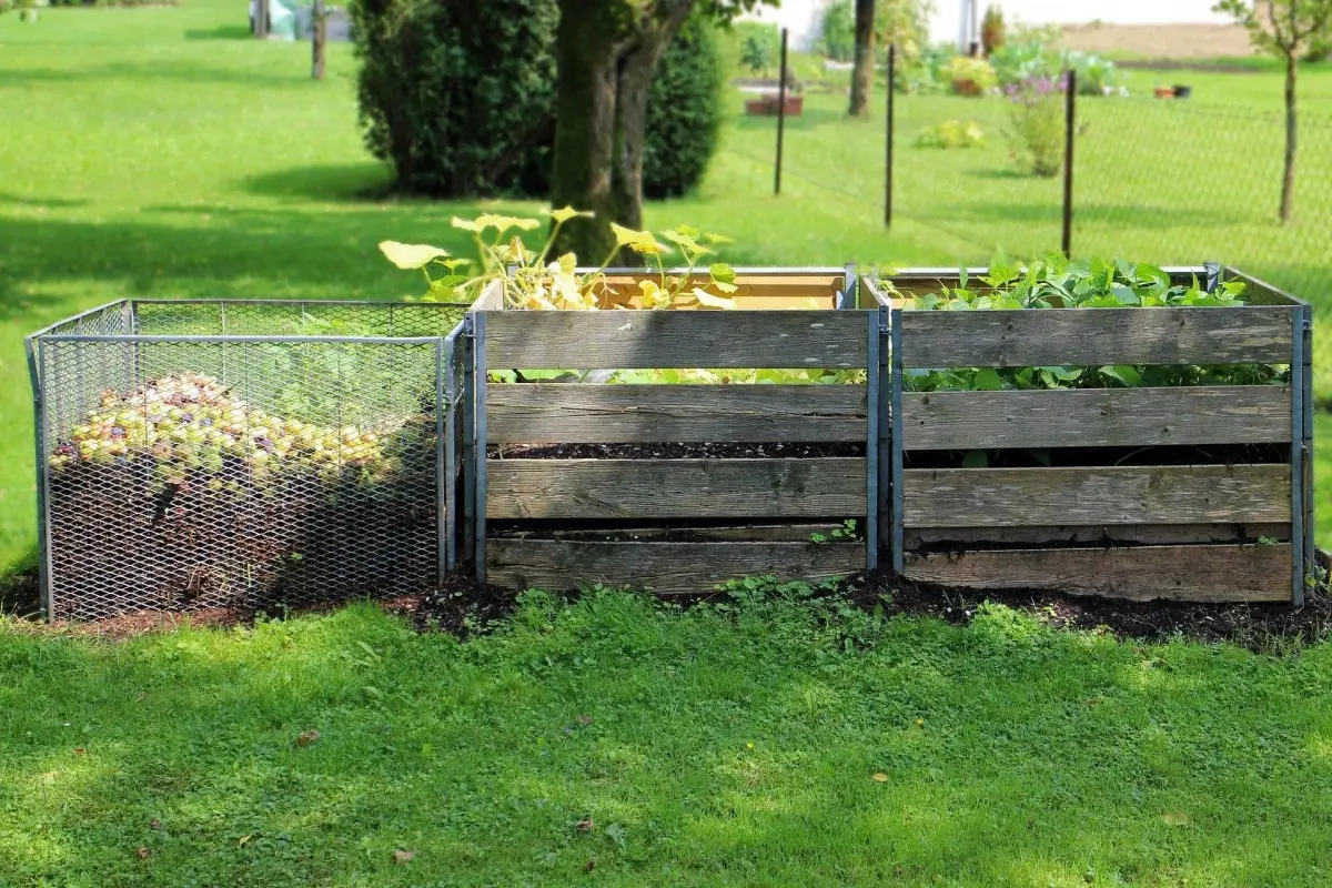 compost-419261_1920